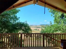 Glamping Podere Angiotto LODGE LAVANDA、マリアーノ・イン・トスカーナのシャレー