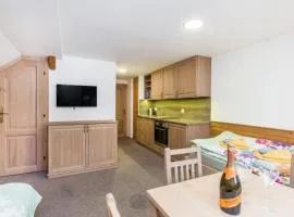Apartment Hajnej by Interhome