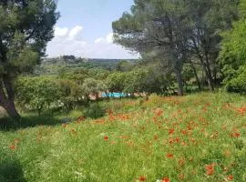 Appartement dans mas avec piscine privée sans vis a vis