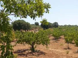 Terre di Caanthea