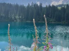 Splendida Carezza