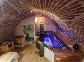 Studio et spa privatif Le Puits de la Grâce, hotel v destinaci Albi