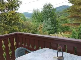 Apartament pod Magnolią