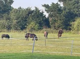 Tranquil Equestrian Escape - Sleeps 2