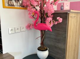 maison pink flamingo aeroport tillé 2 a 4 personnes