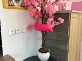maison pink flamingo aeroport tillé 2 a 4 personnes