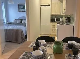 Fredrik Kaksio Haminassa