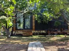 Dikili ZeyTiny House