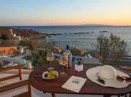 VETUS PORTUM SUITES TINOs