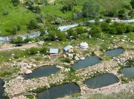 FOREL FISH GUEST HOUSe