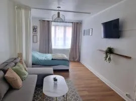 Grand studio Lille centre