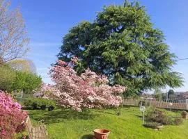 B&B Il Melograno