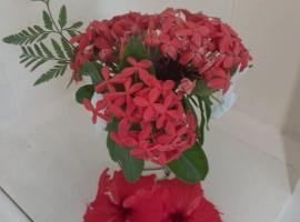 New Mavida Lodge – hotel w mieście Levuka