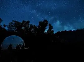 Zen Zion Evergreen Dome
