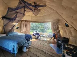 D1 StarGazer Geo Dome- 1 Queen- No pets