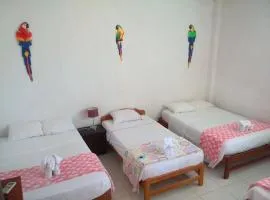 Ayahuasca Hostel