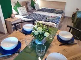 Fehérvár Cappuccino apartman City center, AC, Easy Parking