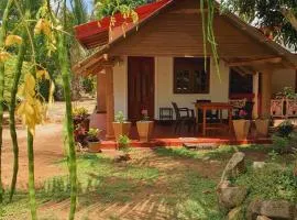 Jungle Eco Lodge & Safari