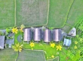 Studio with kitchen, surrounded by ricefield By iLys Collection