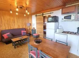 Appartement au RDC d'un Chalet - Proche Ski/Randonnées - Terrasse Sud - 4 pers - FR-1-393-150