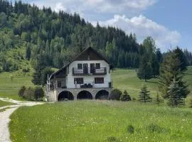 Vila Ancuța