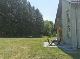 Pine corner Mojkovac
