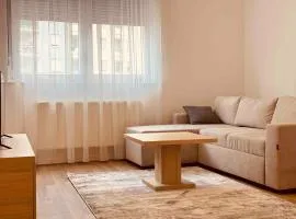 Spacious apartment next to Royall Mall on B Street