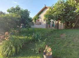 Gîte des Vignes au calme, 2 ch, terrasse, animaux admis, parking, recharge VE - FR-1-584-164