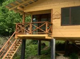COTTAGE cozy side