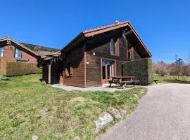 Chalet familial avec cheminée à Gérardmer - FR-1-589-37