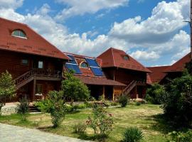 Pensiunea Balkan Expres, hotel v destinaci Runcu