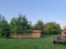 Amazing Home In Rekowo
