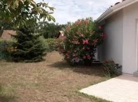 Villa ocean et foret
