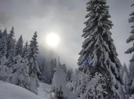 Beau duplex lumineux à la montagne Nice flat just underneath MtBlanc