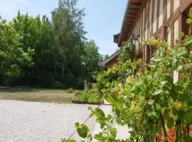 Au clos champenois