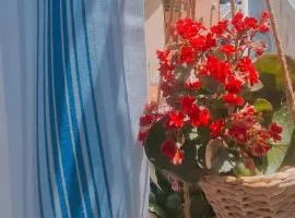 Ninù's Home