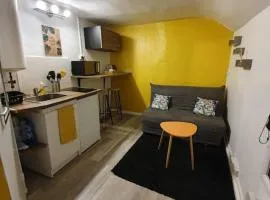Joli studio au coeur d'Orléans et bords de Loire
