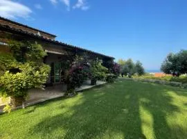 La BouganVillea