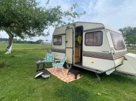 Vintage caravan in old orchard at farm Huize Blokland