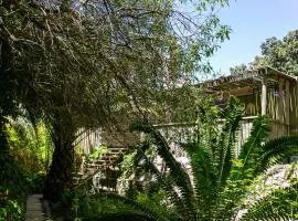 Camps Bay Forest Pods