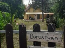 Borostyán Vendégház