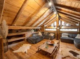 Chalet Grand Cru 14 pers-Abondance