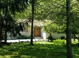 Serenity and Fun all in one in this Cozy Pocono Cabin