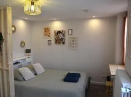 Maison de maître de l'Abbé Frémond - Appartements proche hôpital