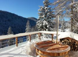 Gîte du Mont d'Air 4 étoiles, au cœur du massif vosgien, bain nordique, hotel in Ventron