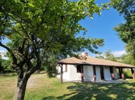 Apartmani & Auto kamp GAJ