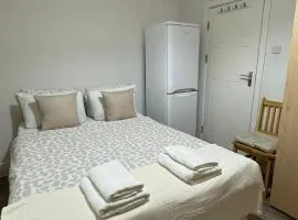 Spacious Double Room in Greater London