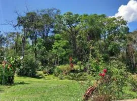 Los Árboles