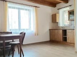 Apartmán Karhule (pod Blaníkem)