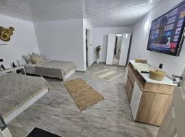 Casa David